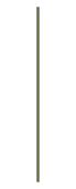 Línea