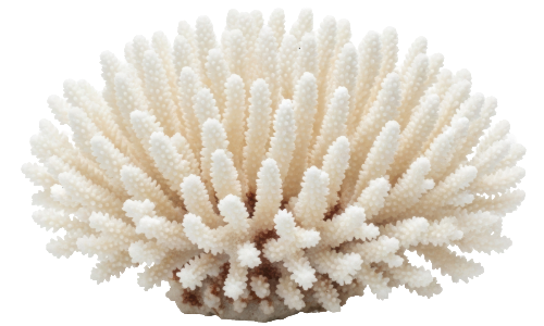 mar